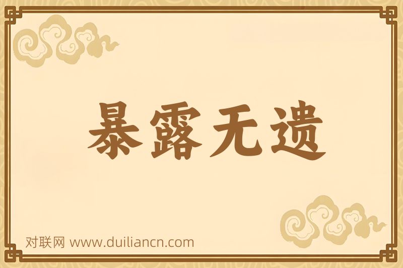 暴露无遗词语的意思