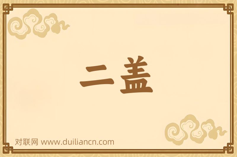 二盖词语的意思