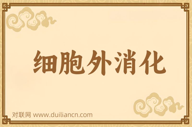 细胞外消化词语的意思