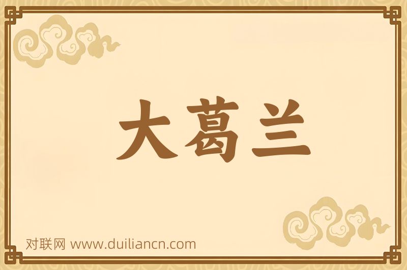 大葛兰词语的意思