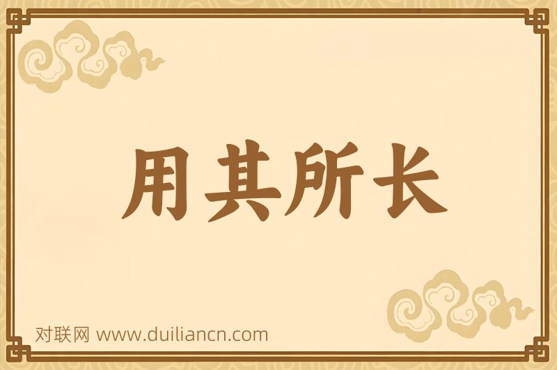 用其所长词语的意思