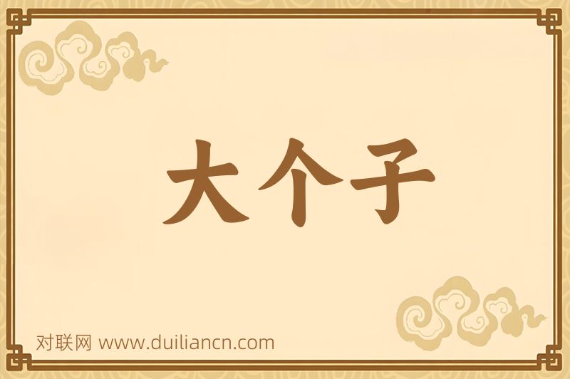大个子词语的意思