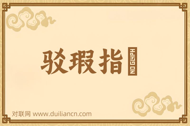 驳瑕指颣词语的意思