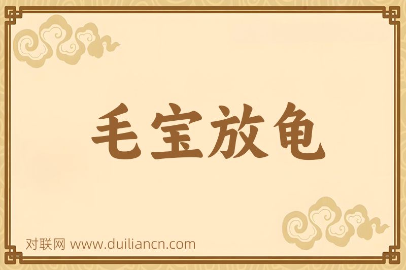 毛宝放龟词语的意思