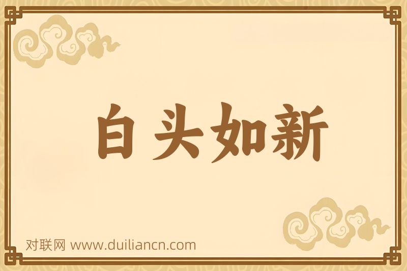 白头如新词语的意思