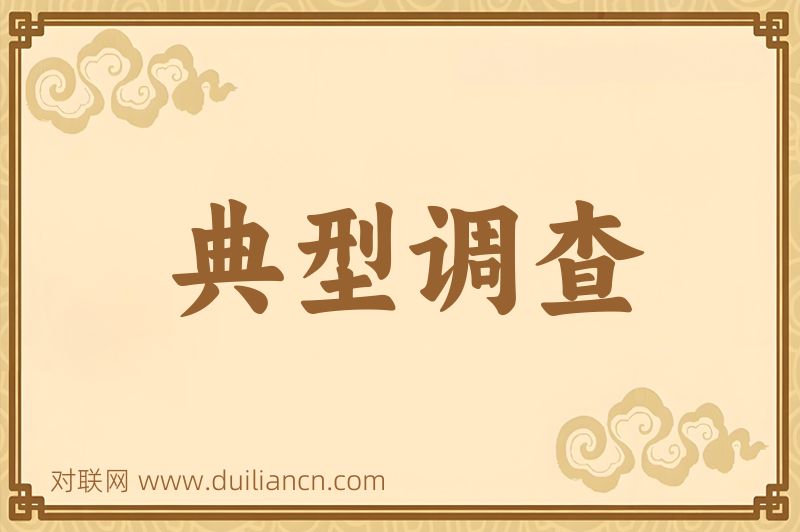 典型调查词语的意思