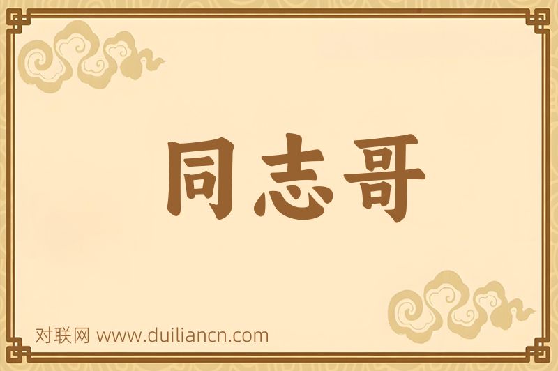 同志哥词语的意思