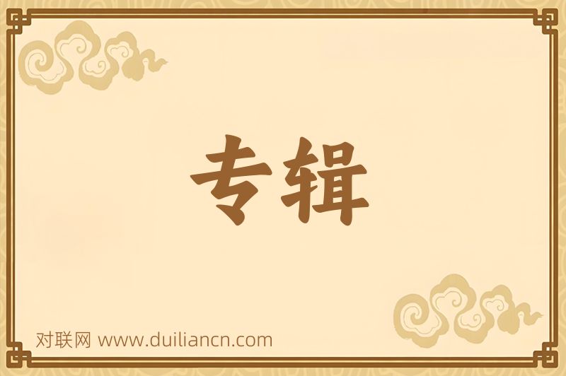 专辑词语的意思