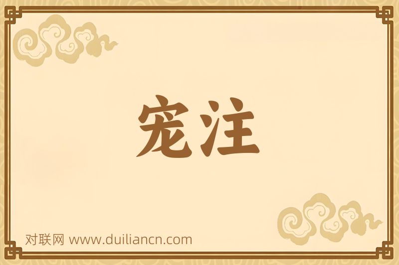 宠注词语的意思