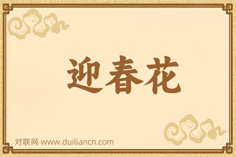 迎春花词语的意思