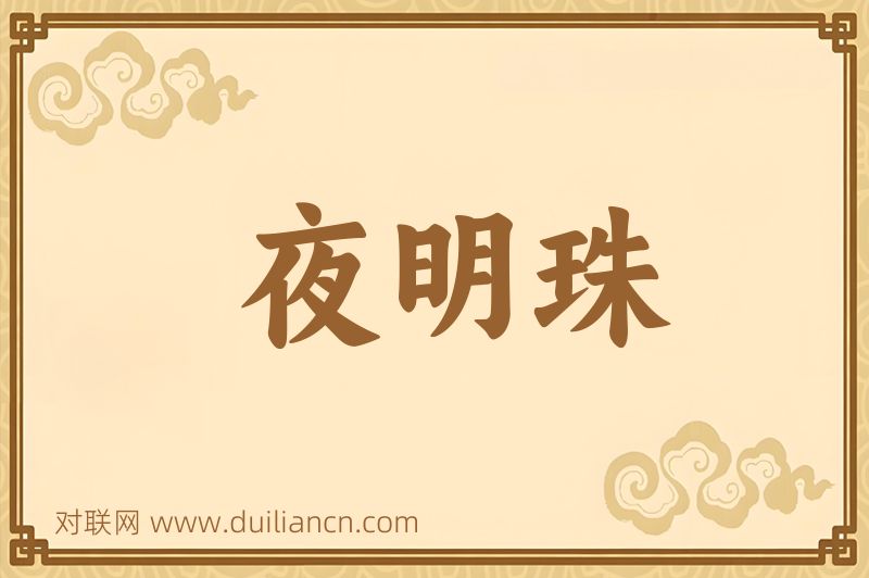 夜明珠词语的意思