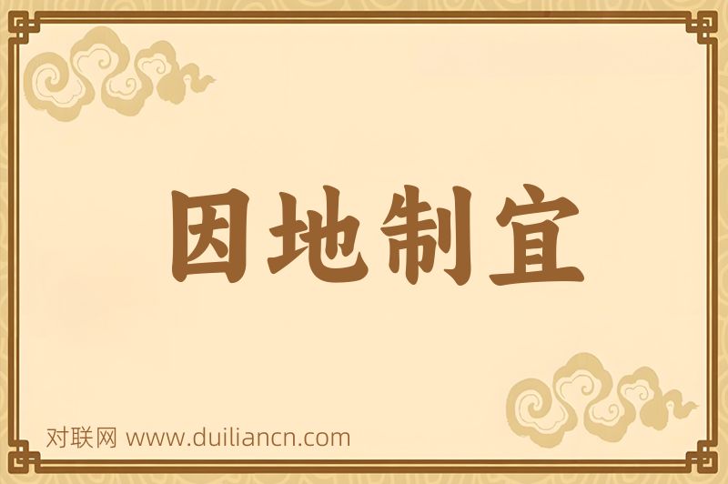 因地制宜词语的意思