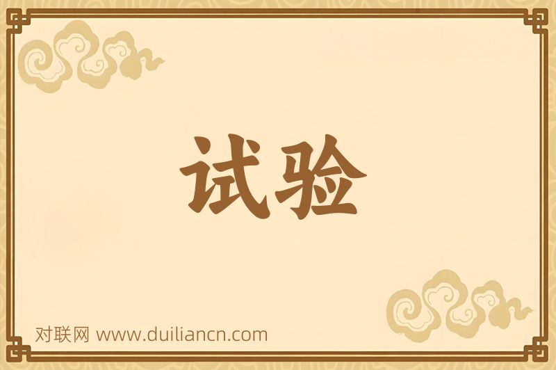 试验词语的意思