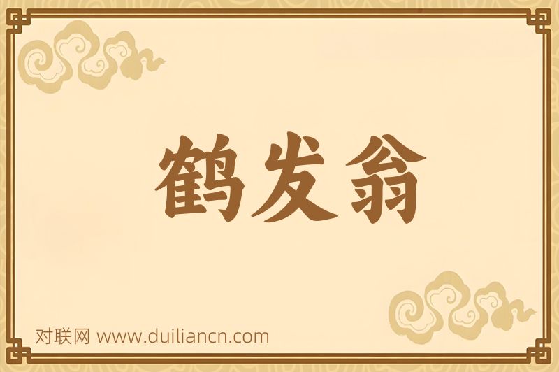 鹤发翁词语的意思