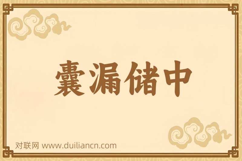 囊漏储中词语的意思