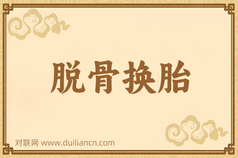 脱骨换胎词语的意思