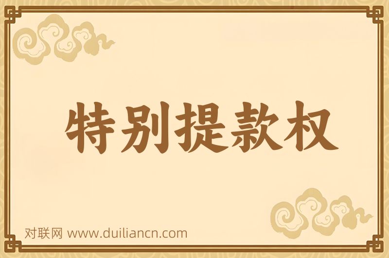 特别提款权词语的意思