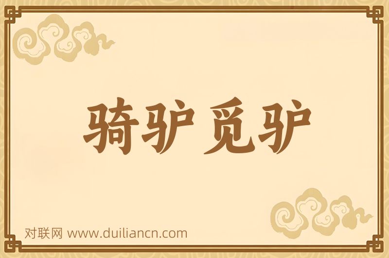 骑驴觅驴词语的意思