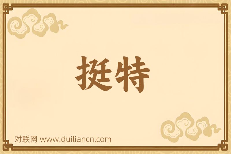 挺特词语的意思