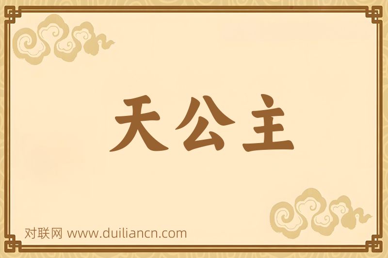天公主词语的意思