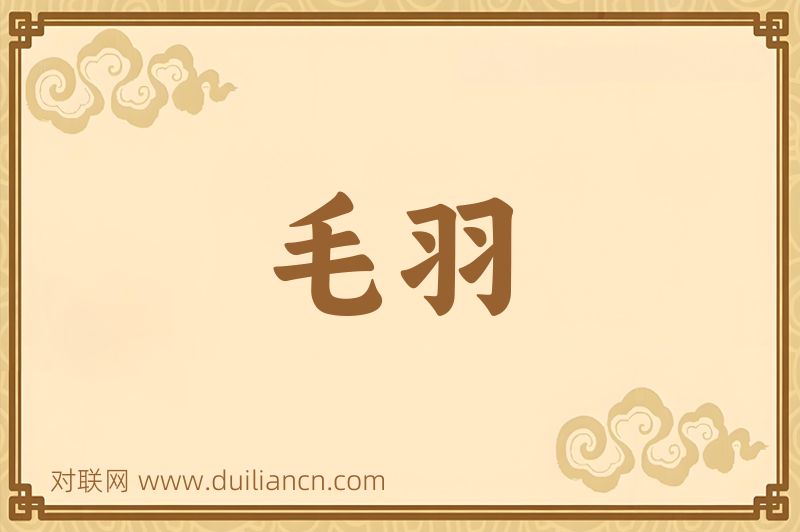 毛羽词语的意思