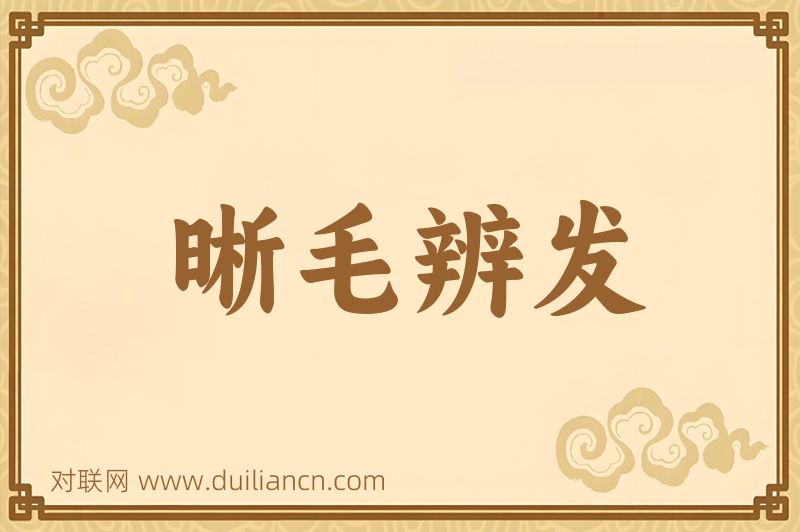 晰毛辨发词语的意思