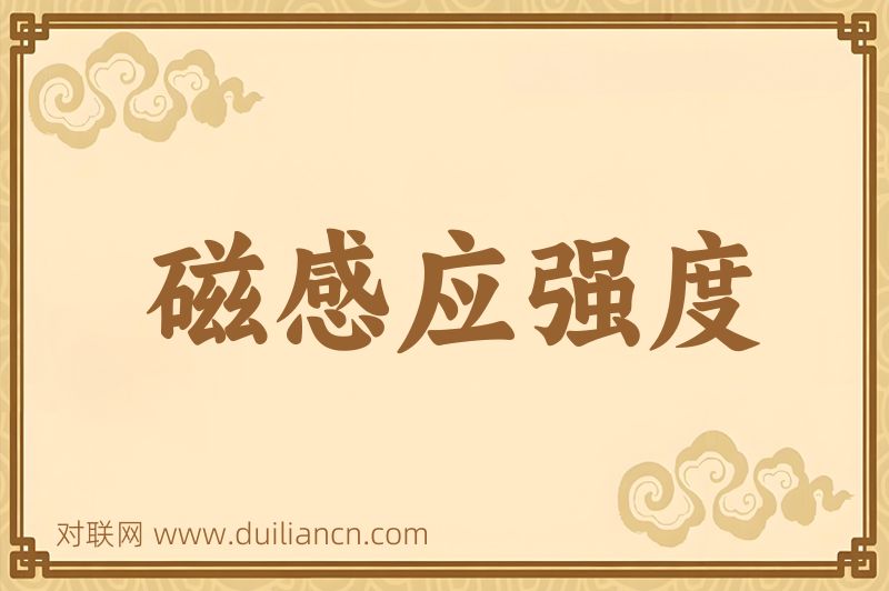 磁感应强度词语的意思