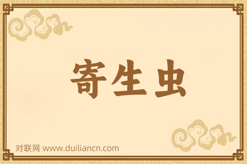 寄生虫词语的意思
