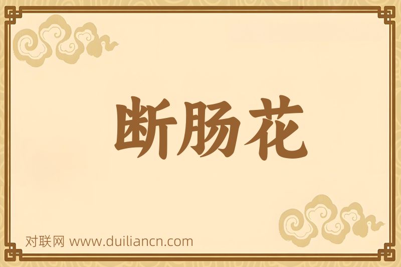 断肠花词语的意思
