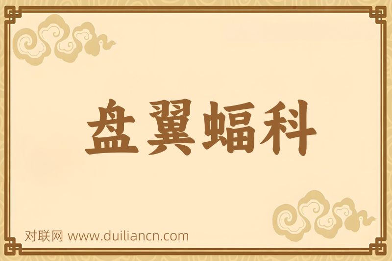 盘翼蝠科词语的意思