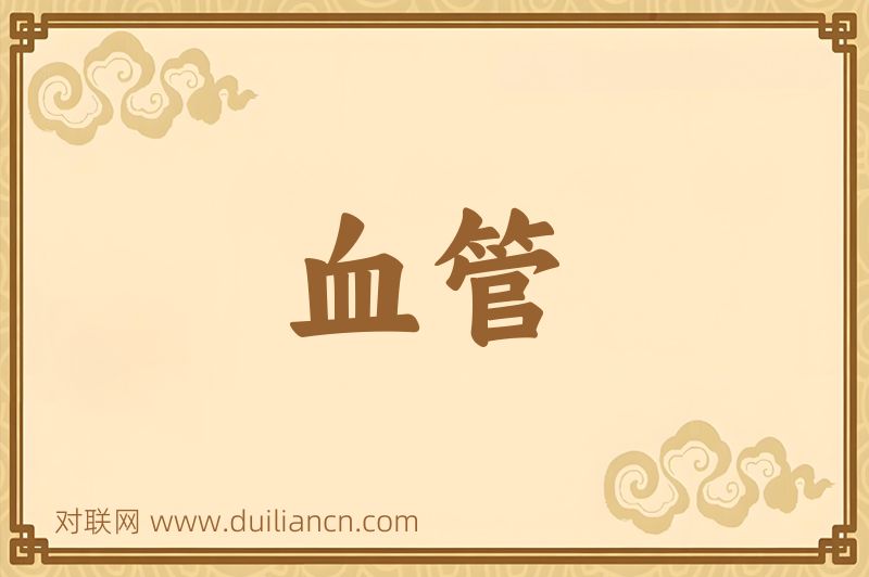 血管词语的意思