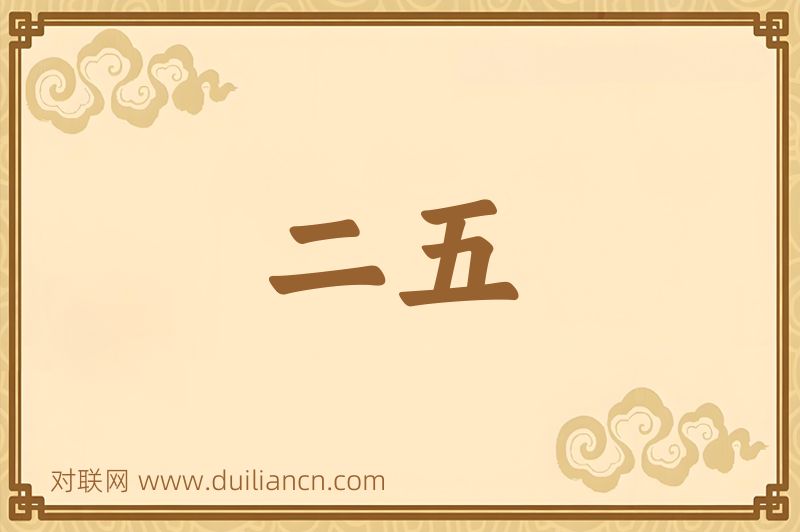 二五词语的意思