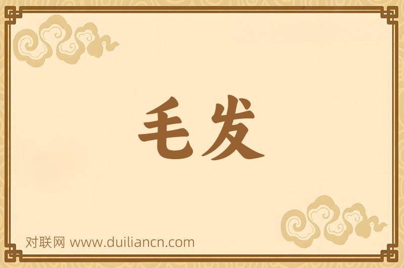 毛发词语的意思