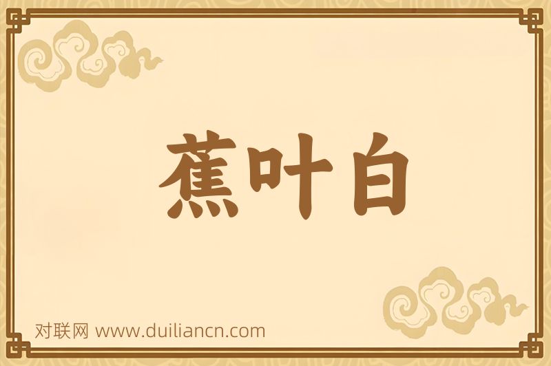 蕉叶白词语的意思