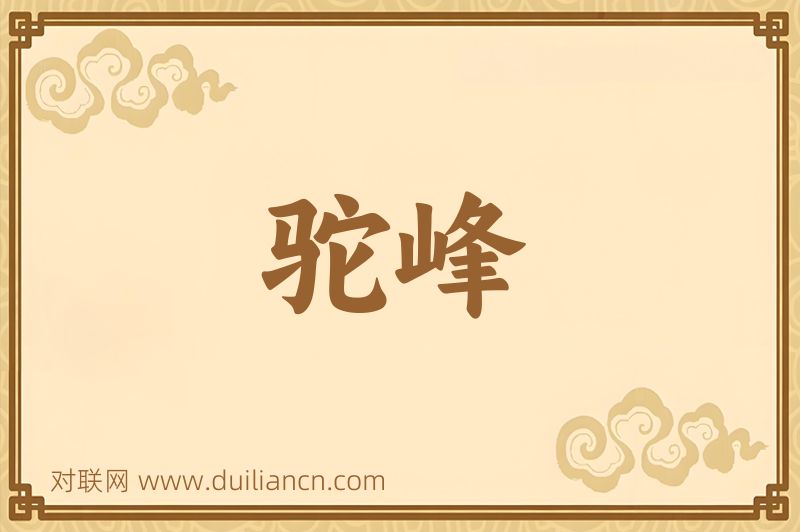 驼峰词语的意思