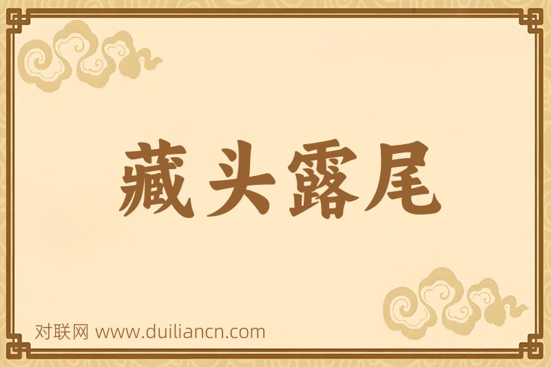 藏头露尾词语的意思