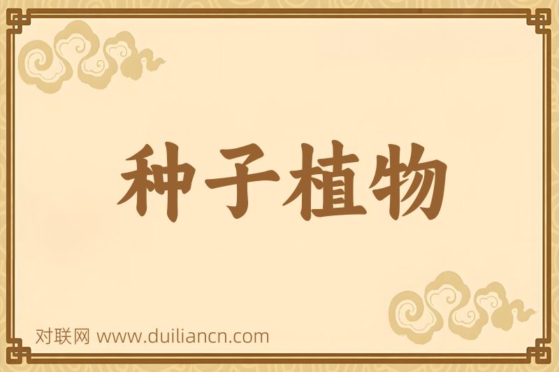 种子植物词语的意思