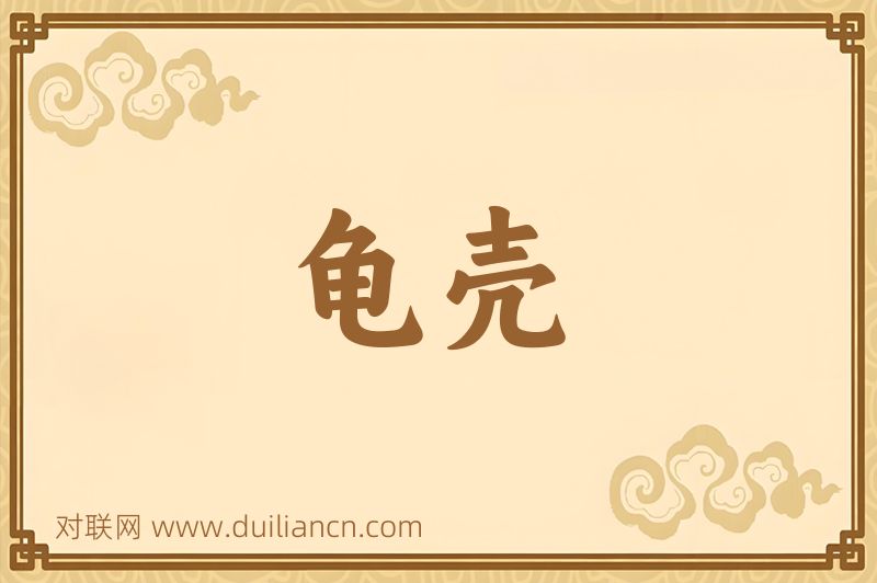 龟壳词语的意思