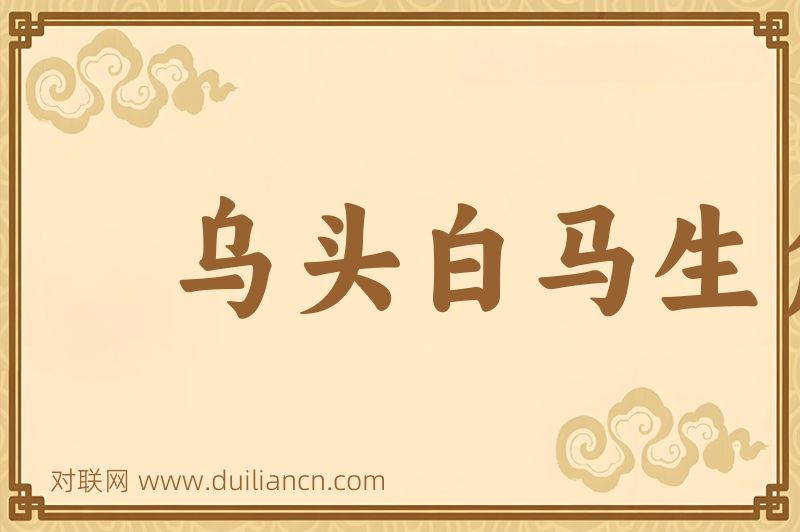 乌头白马生角词语的意思