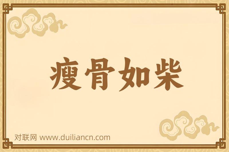 瘦骨如柴词语的意思