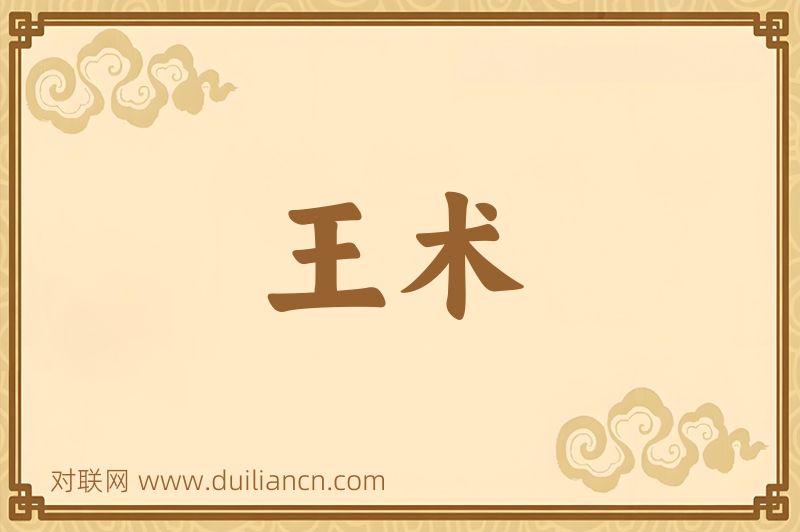 王术词语的意思