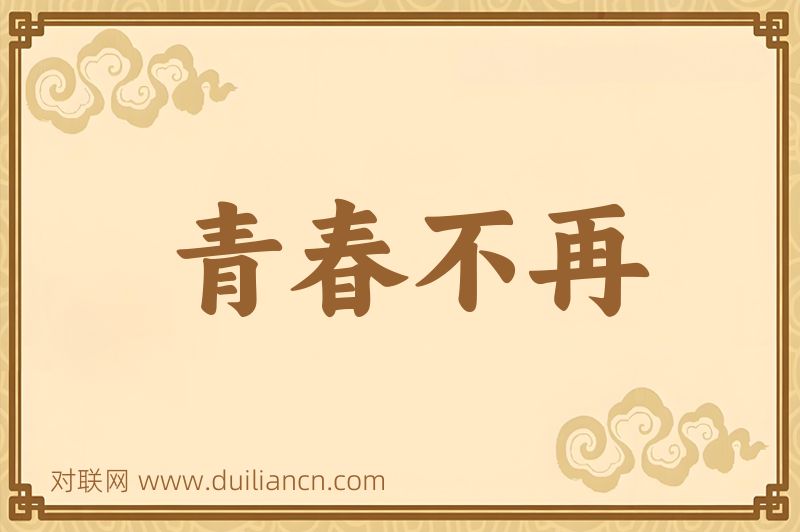 青春不再词语的意思