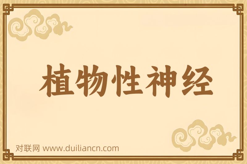 植物性神经词语的意思