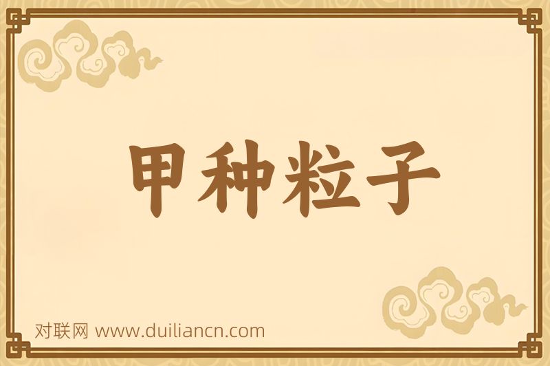 甲种粒子词语的意思