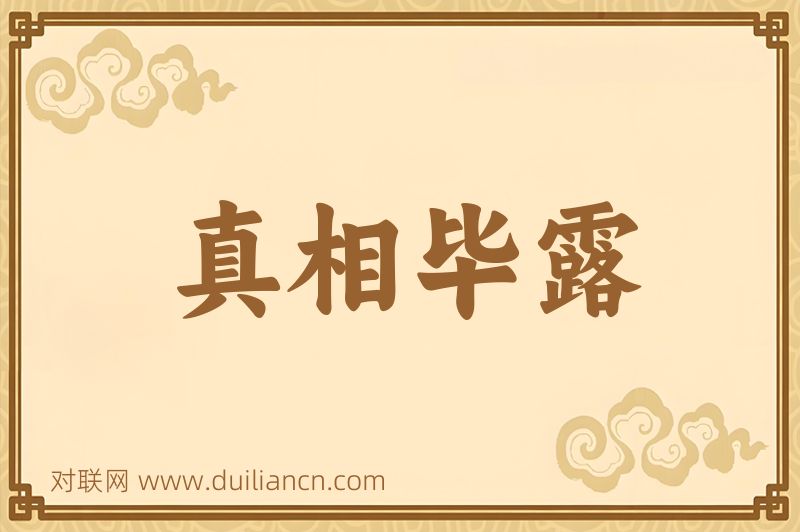真相毕露词语的意思