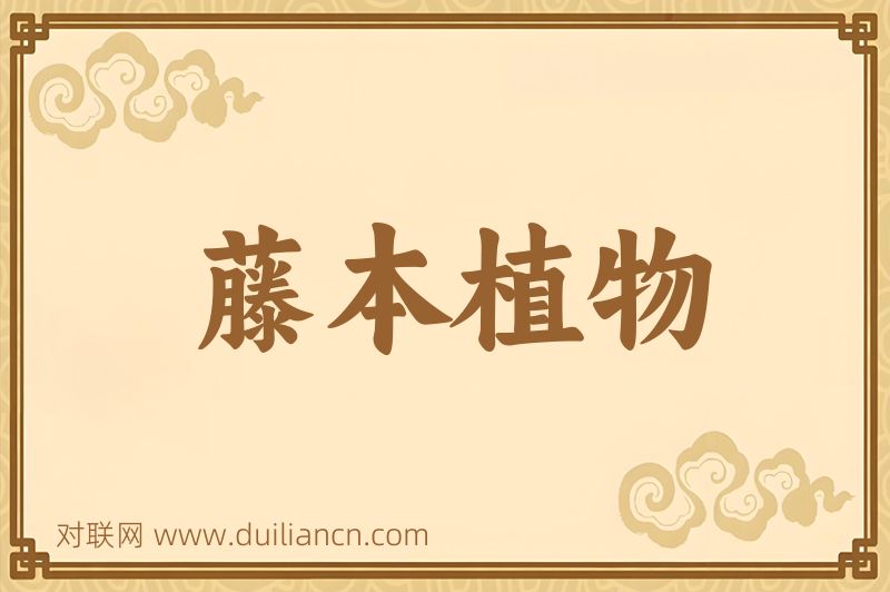 藤本植物词语的意思