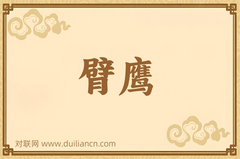 臂鹰词语的意思