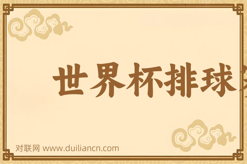 世界杯排球赛词语的意思