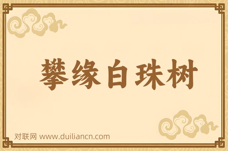 攀缘白珠树词语的意思