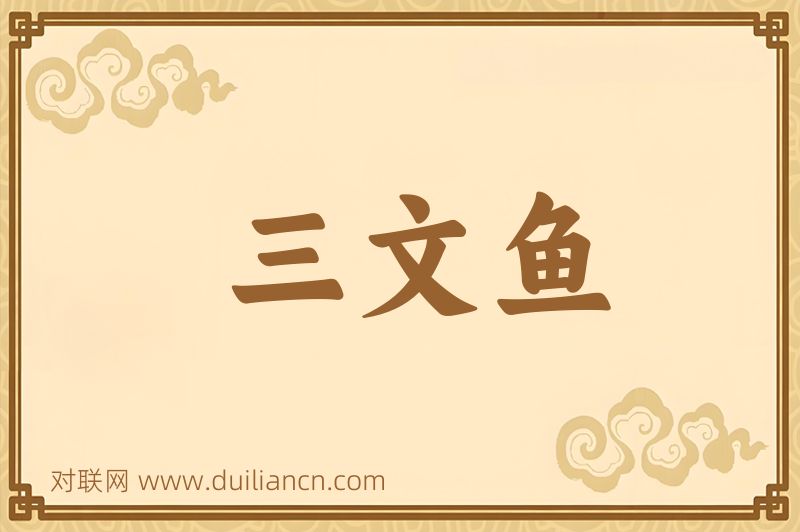 三文鱼词语的意思